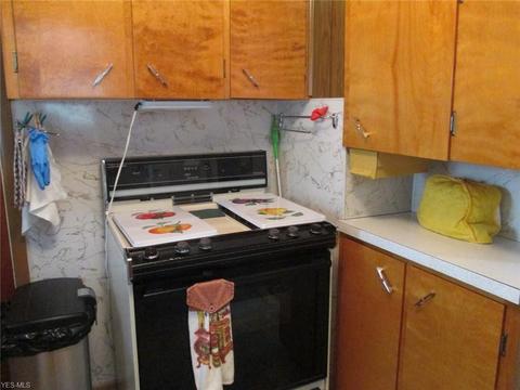 320 Alpha Ave, Akron, OH 44312 photo 13