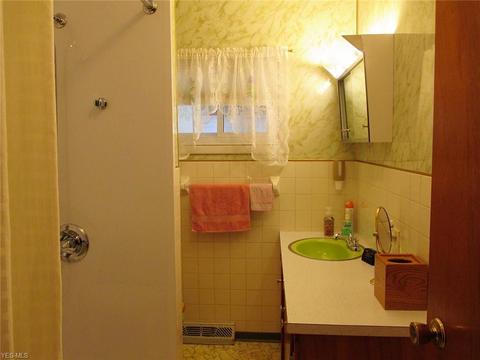 320 Alpha Ave, Akron, OH 44312 photo 15