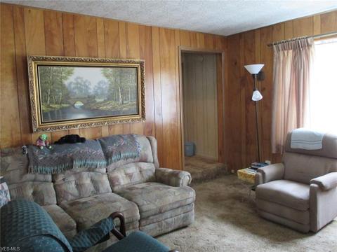 320 Alpha Ave, Akron, OH 44312 photo 6