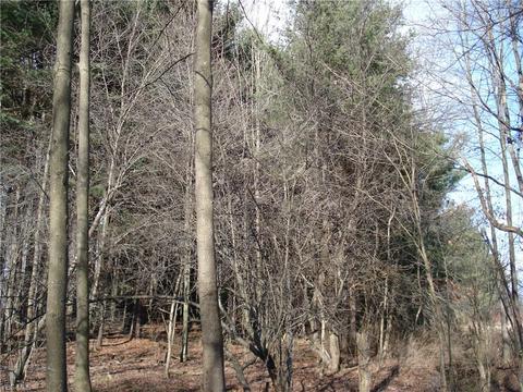 3000 Tower Rd, Dorset, OH 44032 photo 31