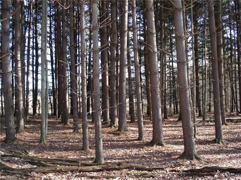 3000 Tower Rd, Dorset, OH 44032 photo 32