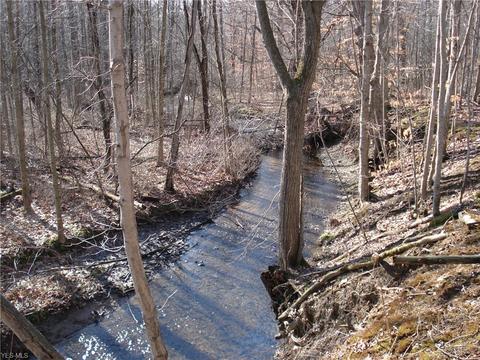 3000 Tower Rd, Dorset, OH 44032 photo 2