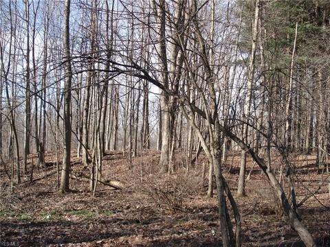 3000 Tower Rd, Dorset, OH 44032 photo 30
