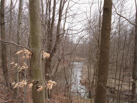 3000 Tower Rd, Dorset, OH 44032 photo 5