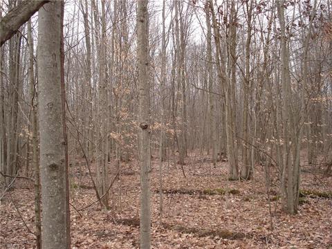 3000 Tower Rd, Dorset, OH 44032 photo 6