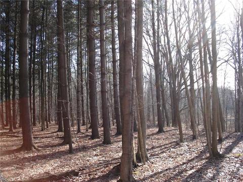 3000 Tower Rd, Dorset, OH 44032 photo 34