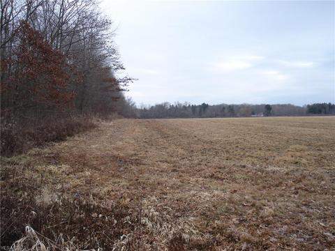 3000 Tower Rd, Dorset, OH 44032 photo 33