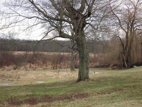 3000 Tower Rd, Dorset, OH 44032 photo 16
