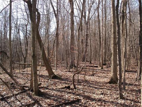 3000 Tower Rd, Dorset, OH 44032 photo 29