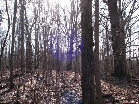 3000 Tower Rd, Dorset, OH 44032 photo 3