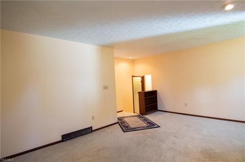 3595 Call Rd, Perry, OH 44081 photo 23