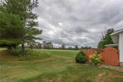 17281 Fairway Dr, Lagrange, OH 44050 photo 11
