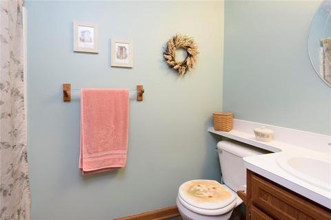 17281 Fairway Dr, Lagrange, OH 44050 photo 10