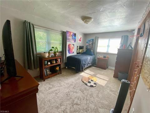 4210 River Rd, Perry, OH 44081 photo 15