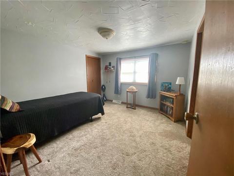 4210 River Rd, Perry, OH 44081 photo 16