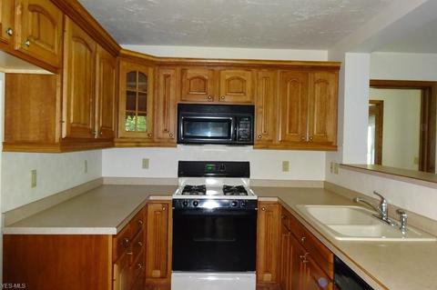 11 Parkview Dr, Berea, OH 44017 photo 7