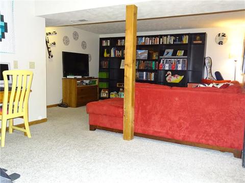 281 Horseshoe Dr, Lagrange, OH 44050 photo 17