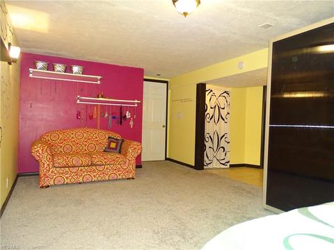 281 Horseshoe Dr, Lagrange, OH 44050 photo 12