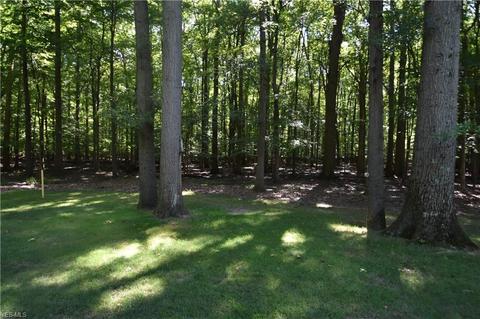 7737 Silver Fox Dr, Boardman, OH 44512 photo 5