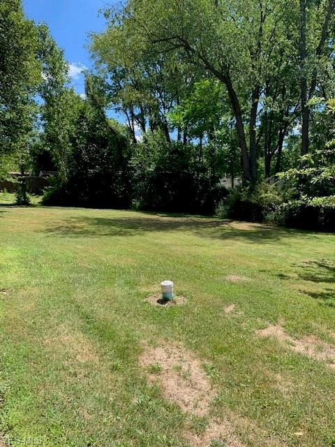 3100 3rd St SE, Canton, OH 44707 photo 12