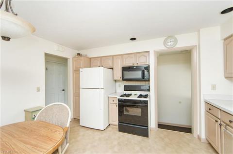 950 Orchardview Ave, Seven Hills, OH 44131 photo 8