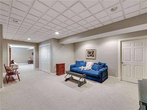 3680 Vineyard Ave NW, Canton, OH 44708 photo 23
