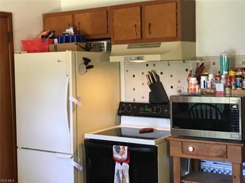 1869 E Tuttle Park Rd, Madison, OH 44057 photo 4