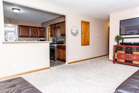 175 Woolf Ave, Akron, OH 44312 photo 8