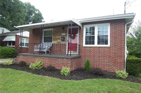 175 Woolf Ave, Akron, OH 44312 photo 22