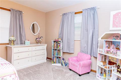 175 Woolf Ave, Akron, OH 44312 photo 15