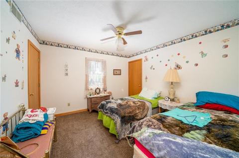 14965 Ellett Rd, Beloit, OH 44609 photo 16