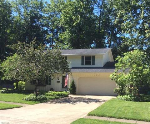 147 Devonshire Ct, Elyria, OH 44035 photo 1
