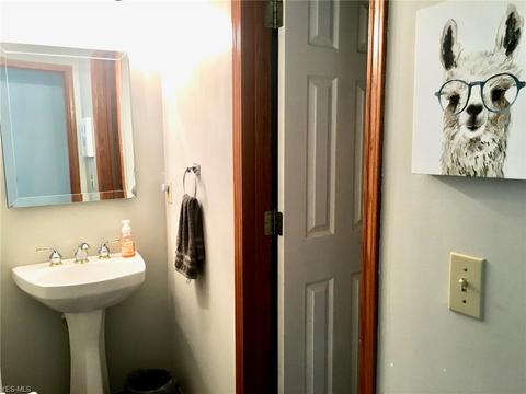 125 Ferris State Ct, Elyria, OH 44035 photo 10