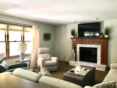 125 Ferris State Ct, Elyria, OH 44035 photo 6