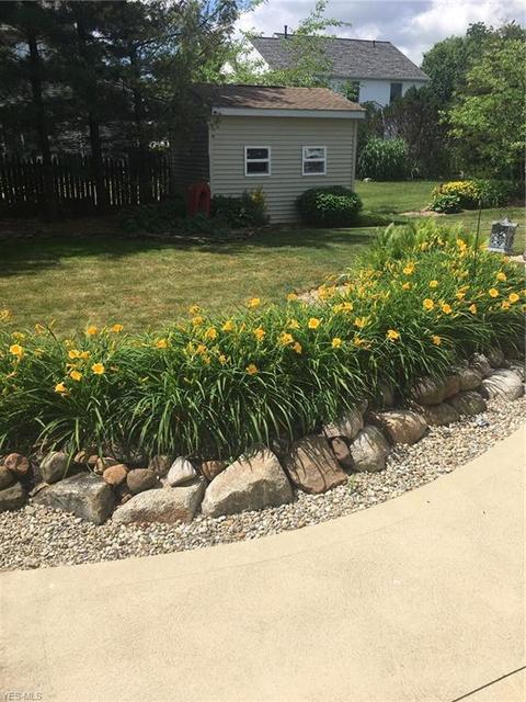 125 Ferris State Ct, Elyria, OH 44035 photo 24