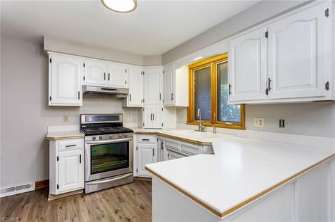 9602 E River Rd, Elyria, OH 44035 photo 10