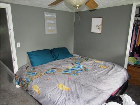 411 Thayer Ave, Ashtabula, OH 44004 photo 9