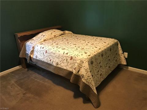 4542 Vineyard Dr, Lorain, OH 44053 photo 24