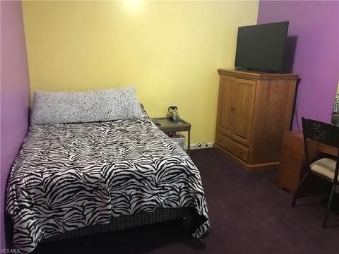 4542 Vineyard Dr, Lorain, OH 44053 photo 26