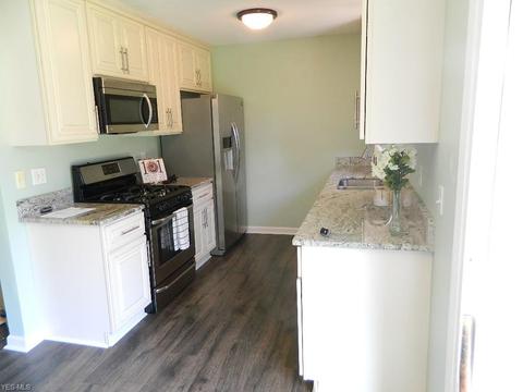 7682 Manor Dr, Mentor On The Lake, OH 44060 photo 9