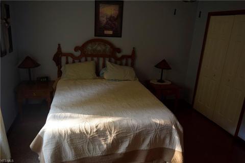 3982 Green Rd, Perry, OH 44081 photo 11