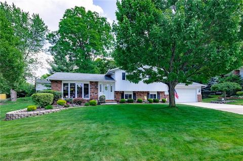5693 Marble Ln, Willoughby, OH 44094 photo 1