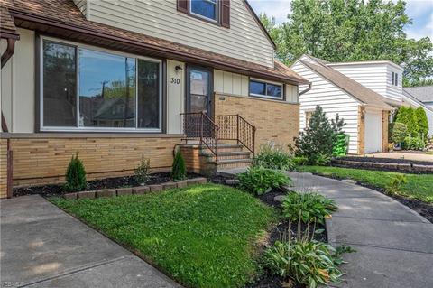 310 E 262nd St, Euclid, OH 44132 photo 2