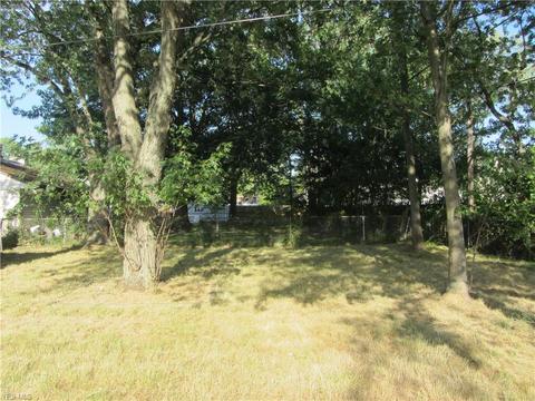 455 Olivet Dr, Elyria, OH 44035 photo 13