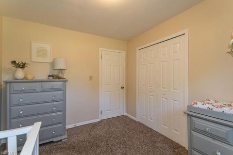 3957 Call Rd, Perry, OH 44081 photo 25