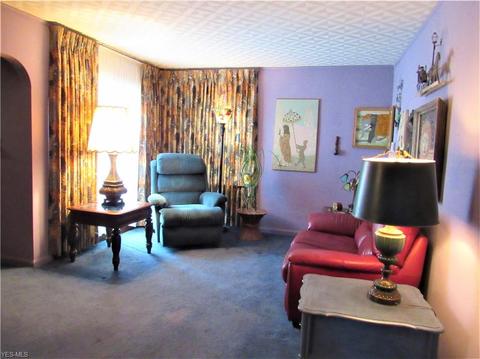 664 Lucille Ave, Akron, OH 44310 photo 3