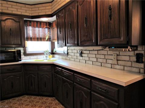 664 Lucille Ave, Akron, OH 44310 photo 10