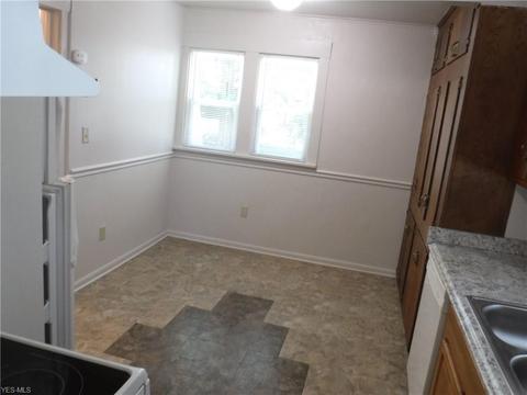 316 Olive St, Elyria, OH 44035 photo 11