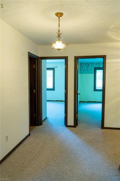 280 Windfall Ln, Wadsworth, OH 44281 photo 19