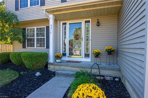6317 Oak Tree Dr S, Lorain, OH 44053 photo 13